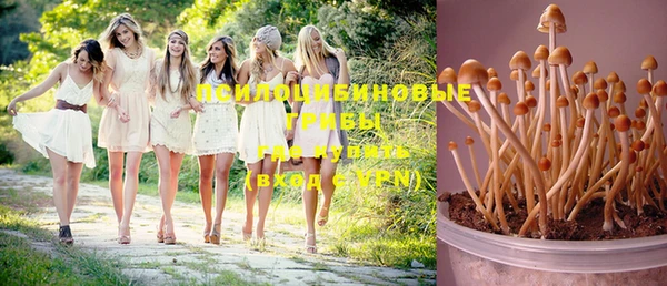 каннабис Гусиноозёрск