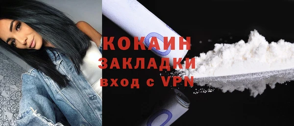 spice Гусев