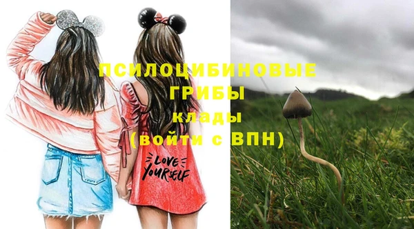 экстази Дмитриев