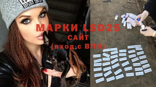 экстази Дмитриев
