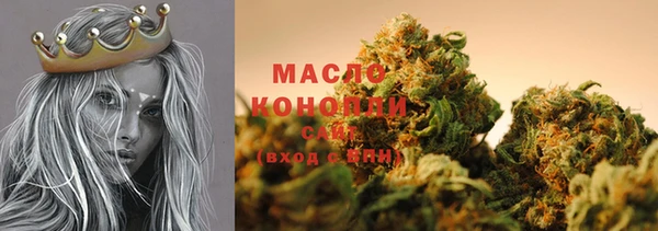 шишки Дмитров