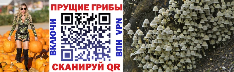 Галлюциногенные грибы мицелий наркотики Альметьевск